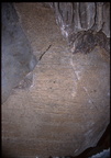 Trips in 2003